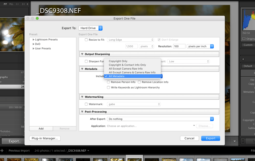 exporting-with-copyright-lightroom